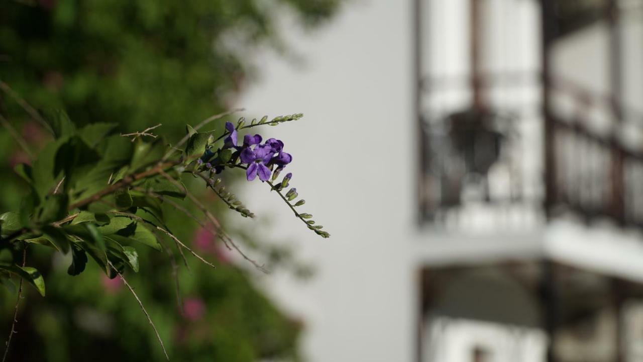 Totelya Hotel Akyaka  Eksteriør bilde